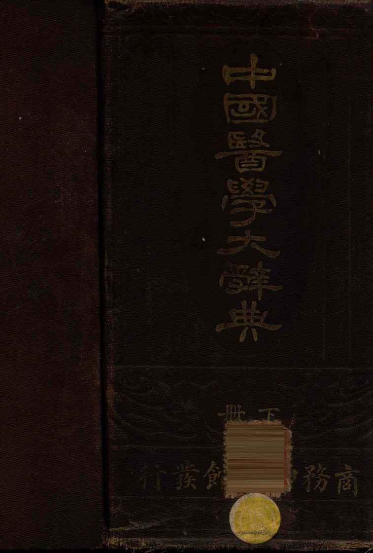 中国医学大辞典  下